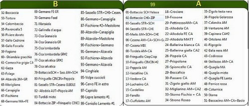 Richiamo uccelli selvaggina - uccelli,