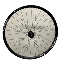 Mozzo scelto Raleigh Pro Build