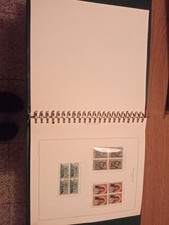 Cartella marini A Quartine