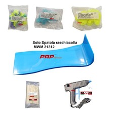 Spatola raschiacolla MWM PDR