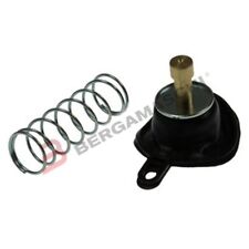 DIAFRAMMA MEMBRANA CARBURATORE