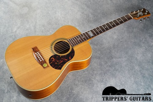 Maton ebg808te con custodia - ebg808te,