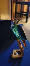 Swarovski SCS Pappagallo - Ara