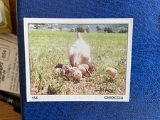 PANINI ALBUM IL MONDO DEGLI