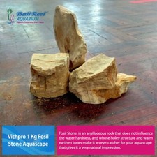 Vichpro 1 kg pietra fossile