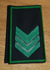 Gradi Appuntato nero bordo verde Guardie Giurate Polizia Privata Vigilanza GPG