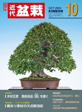KINDAI BONSAI ottobre 2024 rivista Giappone KINBON Masahiko Kimura Garden