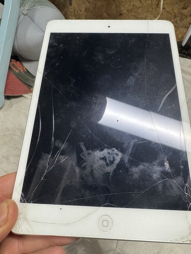 Apple ipad mini - ipad,