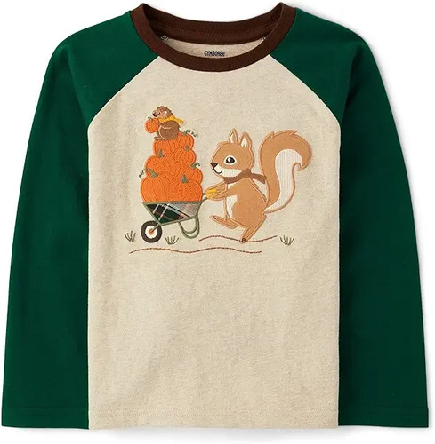 Camicia gymboree fall - camicia,