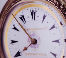 Antico Zenith Billodes Argento