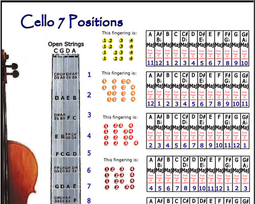 Violoncello mano posizioni - violoncello,