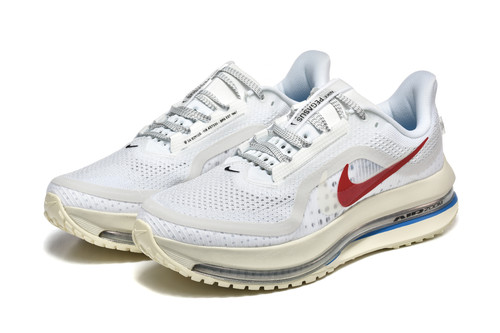 Men nike pegasus premium - nike, —