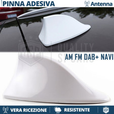 Antenna PINNA DI SQUALO BIANCA