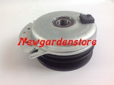 Frizione elettromagnetica