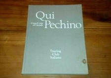 QUI PECHINO - GRANDI CITTA'