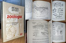 ZOOLOGIA GENERALE, Remane