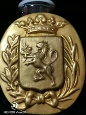 VINTAGE PIN SPILLA DISTINTIVO