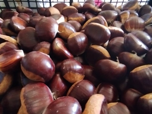 Castagne fresche biologiche - , in