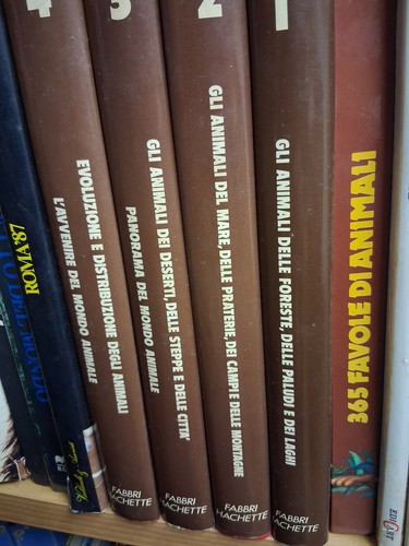 Gli animali - animali, volumi)