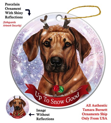 Rhodesian ridgeback snow - rhodesian,