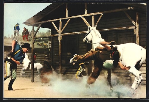 Cartolina film che - , buffalo