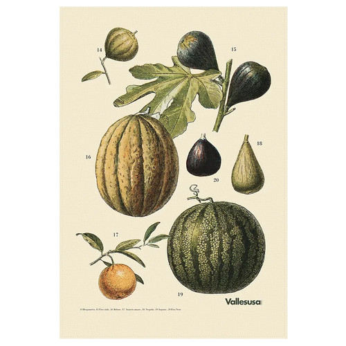 Canovaccio cucina vallesusa - canovaccio,