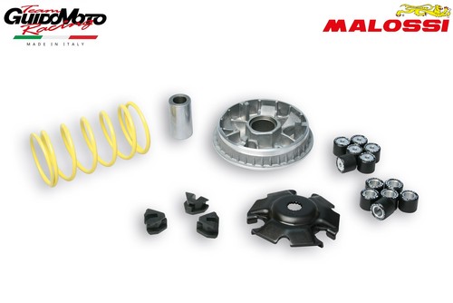 Variatore malossi yamaha - variatore,