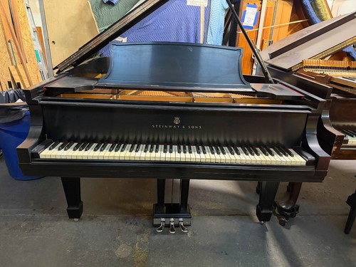 Steinway grand piano see - piano,