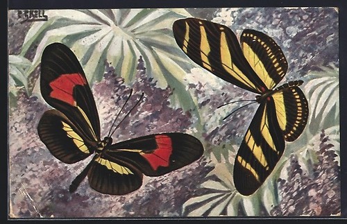 Cartolina artista farfalle - d'artista,