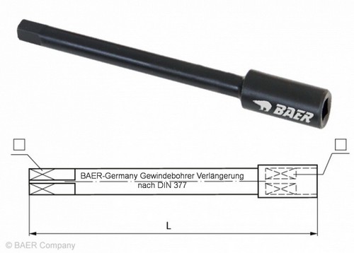 Maschio prolunga baer quadrato - maschio,
