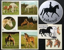 12 Aufkleber Pferde / Fohlen