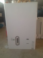 caldaia a gas riello