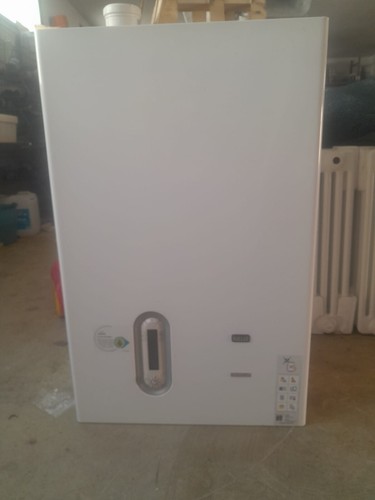Caldaia gas riello - a,