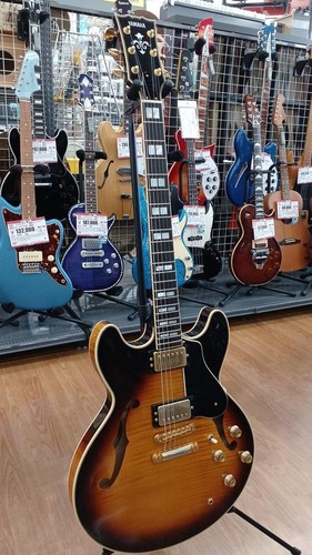 Chitarra elettrica semi vuota