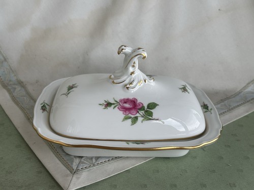 Bellissima scatola terrina