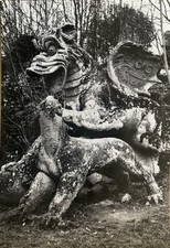 Cartolina Bomarzo Viterbo Villa Orsini Non viaggiata