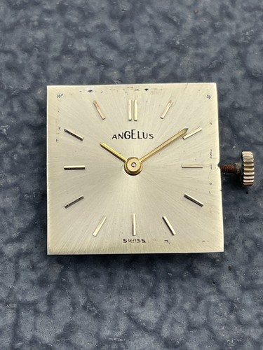 Orologio polso svizzero - polso,