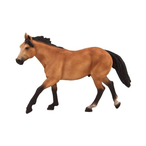 Mojo quarter horse - mojo,