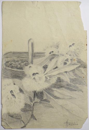 Drawing disegno bozzetto a - disegno,