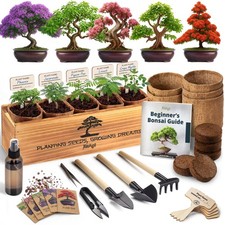 Kit Bonsai AVERGO Classico -