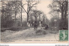 ABCP5-92-0392 - ROBINSON - Passeggiata A Cavallo Nei Boschi