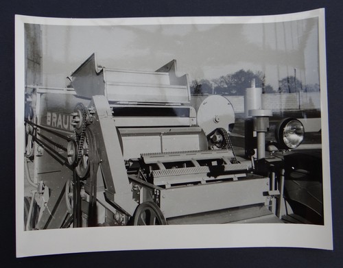 Photo ancienne braud - photo,
