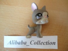 # Cane Cucciolo Mini Dogue