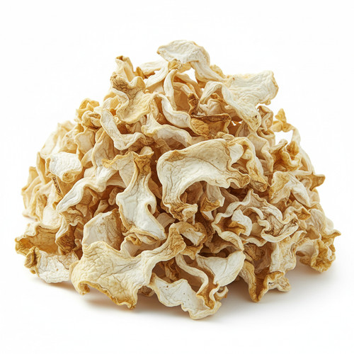 Krause glucke grassa gallina - o,