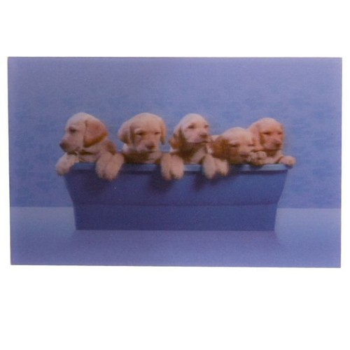 Fotografia immagine con - fotografia, 3d
