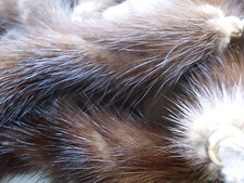 UNA CASCATA DI VISONE MAXI STOLA PELLICCIA NERZ MINK FUR 10 GRANDI CODE di 23 cm