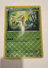 Pokemon TCG: ____'s Snivy