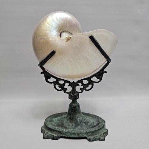 Scultura conchiglia nautilus - scultura,