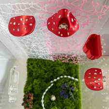 Jumping Spider Kit Accessori