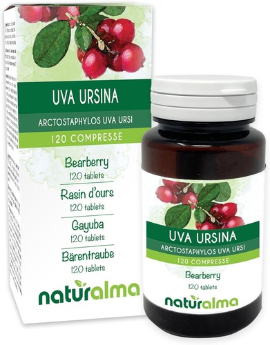 Uva ursina arctostaphylos - uva,